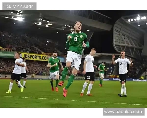 北爱尔兰与荷兰激战在即球迷期待精彩对决与历史交锋