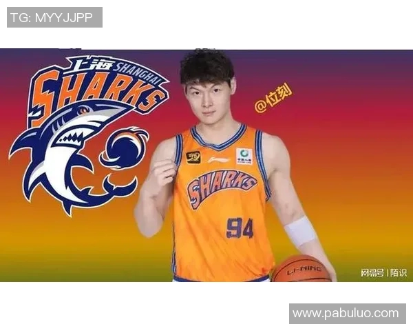 王哲林在CBA赛场的崛起与挑战：从新星到领军人物的奋斗历程