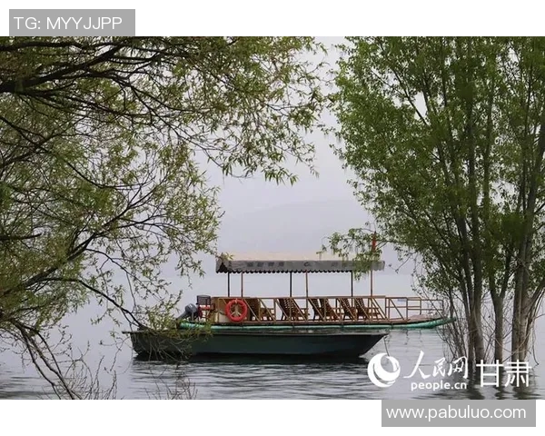 山西对阵山东精彩直播视频全程回放与赛后分析尽在这里