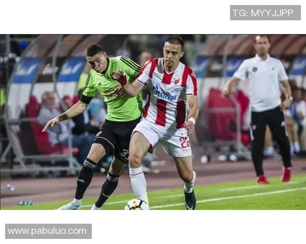 维也纳迅速与哈特堡格的精彩对决谁能在赛场上笑到最后